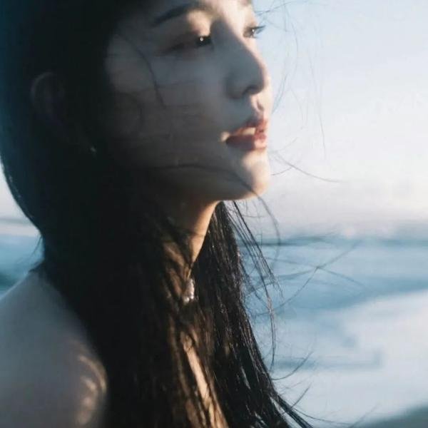 来自收容所的爱