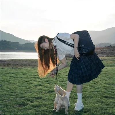 一只小蜘蛛